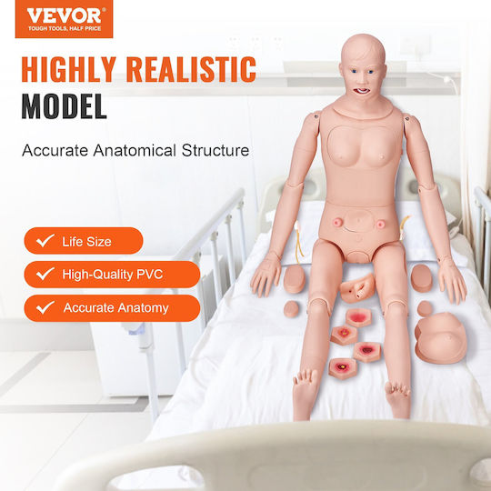 Male Manikin Vevor Nursing Training Male Female Male Life-Size Demonstration Manikin Nursing Education Multi-Function Teaching Model Training Body Care Simulator Anatomical Mannequin PVC