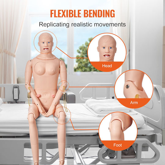 Male Manikin Vevor Nursing Training Male Female Male Life-Size Demonstration Manikin Nursing Education Multi-Function Teaching Model Training Body Care Simulator Anatomical Mannequin PVC
