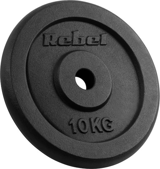 Set of Plates Metal 2 x 10kg Ø31mm