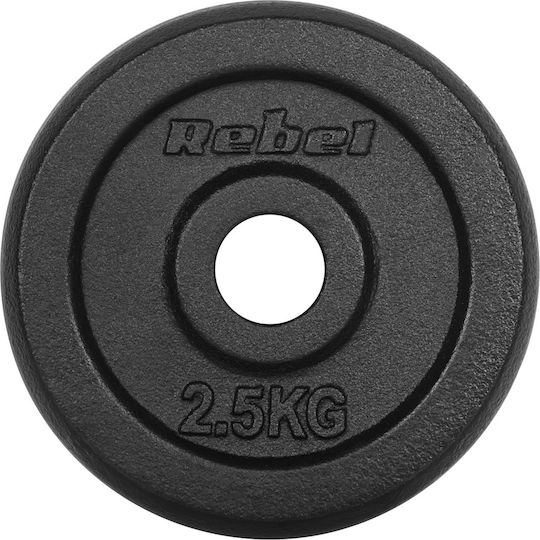 Scheibenset Metall 4 x 2.5kg Ø31mm