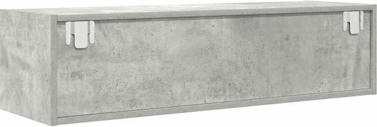 TV-Ständer Grau M100xP31xH25.5cm