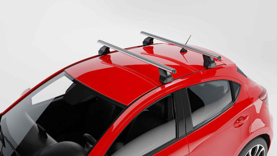Menabo 130cm. pentru Fiat Scudo 1994-2006 (Set cu picioare)