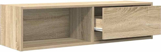 TV Stand Brown 100x31x25.5cm