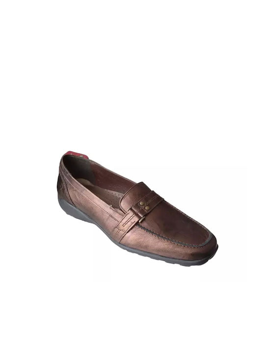 Boxer Moccasinia Bronze