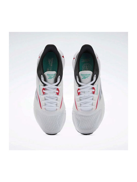 Zig Dynamica 5 Sport Shoes Running White