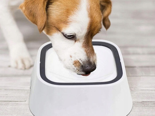 Plastic Food and Water Bowl for Dog and Cat 2 x 1L