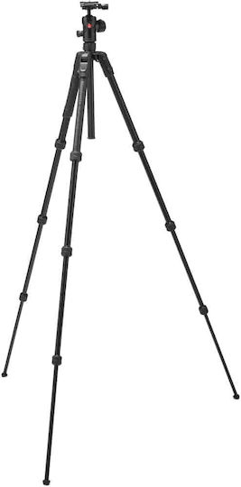 Manfrotto Manfrotto Camera Tripod from Aluminum with Spherical Head up to 150cm and 9kg Maximum Load