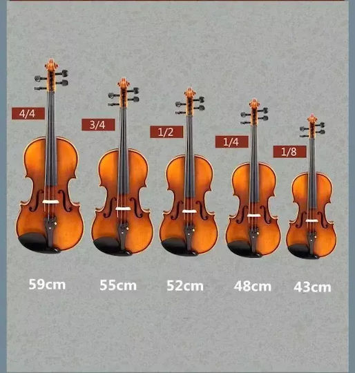 3/4 Vioară