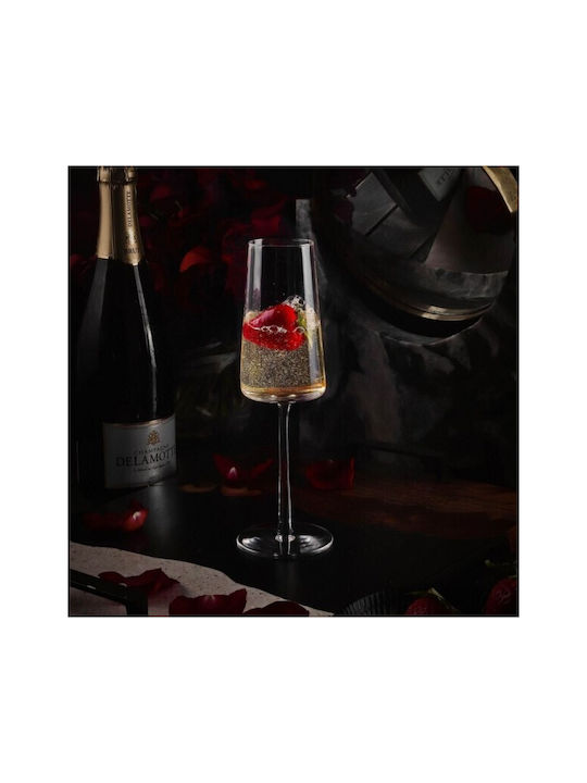 Stolzle Lausitz Set de pahare de sampanie / Vin alb din Cristal Cu picior 240ml 6buc