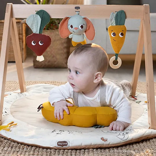 Tiny Love Baby-Spieldecken und -Gyms für Neugeborene
