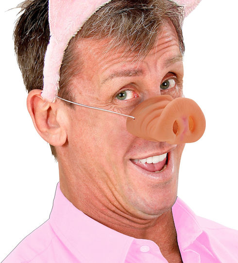 Carnival Nose for Halloween 1pcs