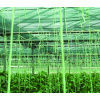 Grüner Gewächshaus-Bindfaden 6000d 2kg