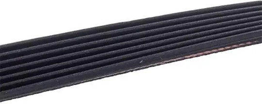 Electrolux 1326721402 Washing Machine Belt 1202h7