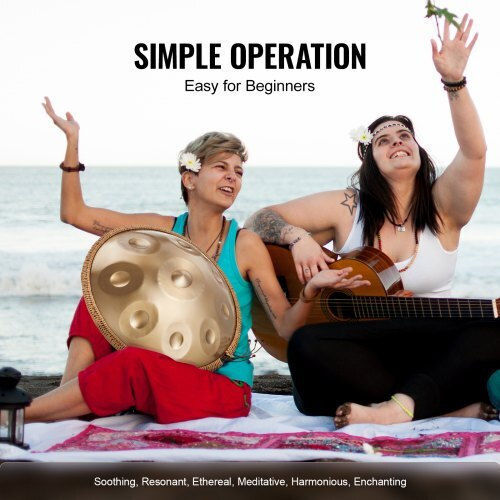 Vevor Handpan 22" 9 Notes D Minor Mallets Sdg22inch9ydcviezv0