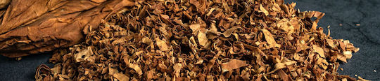XO Havana Einweg E-Zigarette 600 Züge Havana Cigar 2ml 20mg