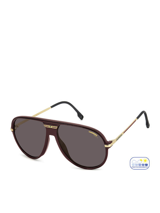 Carrera Sport Ochelari de soare Burgundy cu Cadru & Burgundy Lentilă Carrera Sport Ochelari de soare Burgundy cu Cadru & Burgundy Lentilă