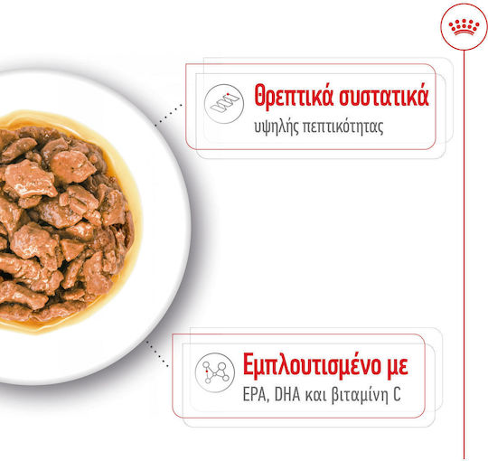 Royal Canin Υγρή Τροφή Σκύλων σε Φακελάκι Διαίτης με Κρέας 85gr