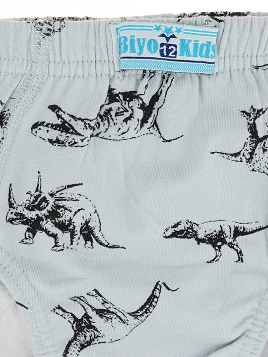 Biyo Grey Dinos Kids' Brief Grey