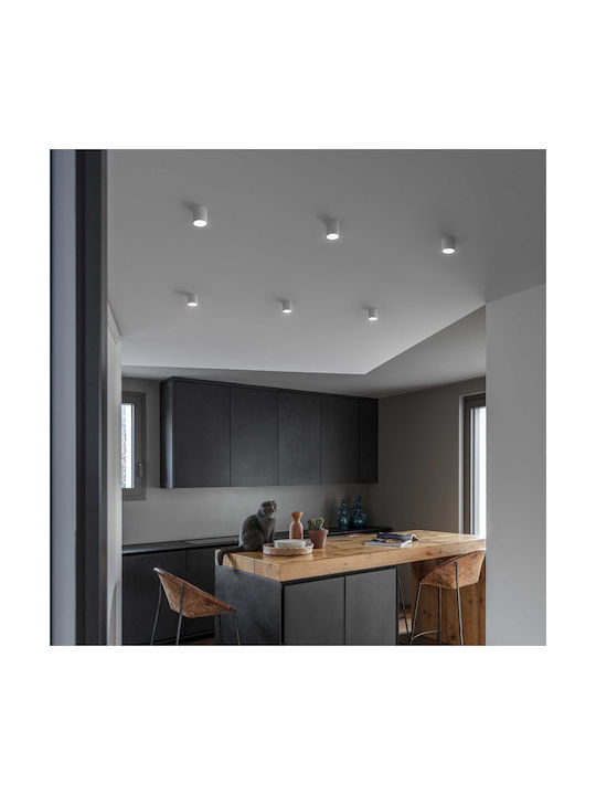 Ideal Lux Single LED Warm White Spot in White Color