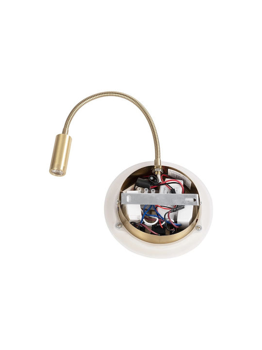 GloboStar Goose Double LED Warm White Spot in White Color
