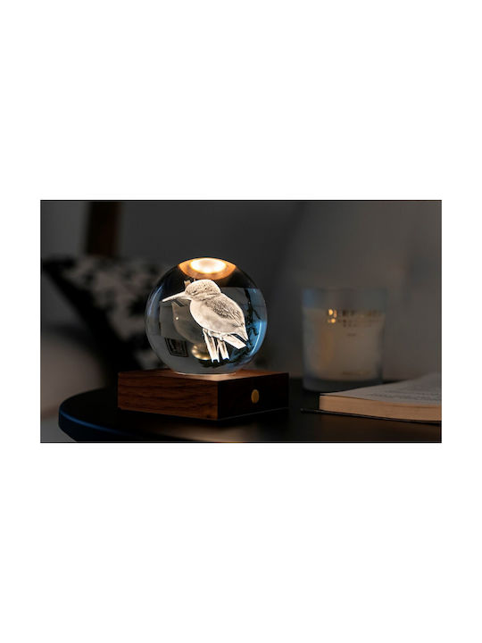 Gingko Διακοσμητικό Φωτιστικό Light 3D Illusion 3εκ.