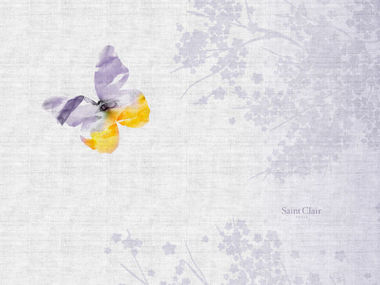 Saint Clair Fabric Placemat Multicolour 45x33cm