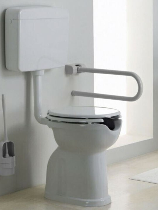 Ponte Giulio Paint Reclining Inox Bathroom Grab Bar for Persons with Disabilities White
