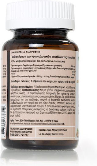 Dietary Supplement for Maintaining Normal Glucose Levels 60 Capsules