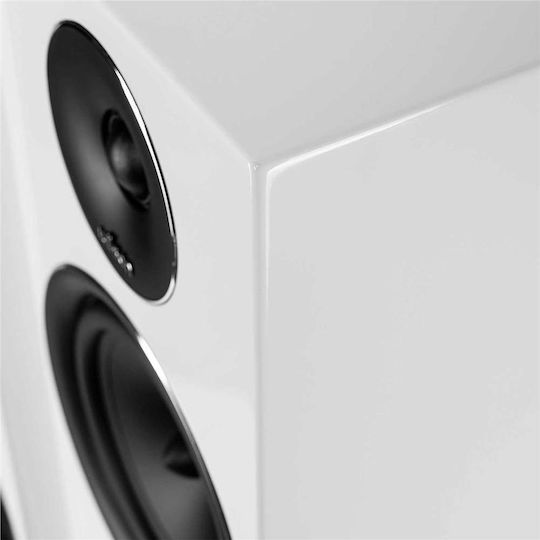 Wilson Exclusive Line 8 4700125 Ζεύγος Ηχείων Hi-Fi Δαπέδου Π19.5xΒ30.2xΥ116εκ. Λευκό