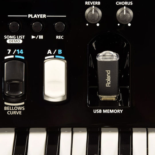 Roland Акордеон 120 Бас