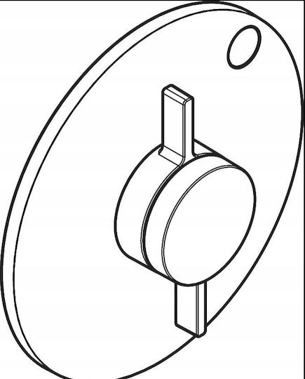 Hansgrohe pentru Duș Argintiu