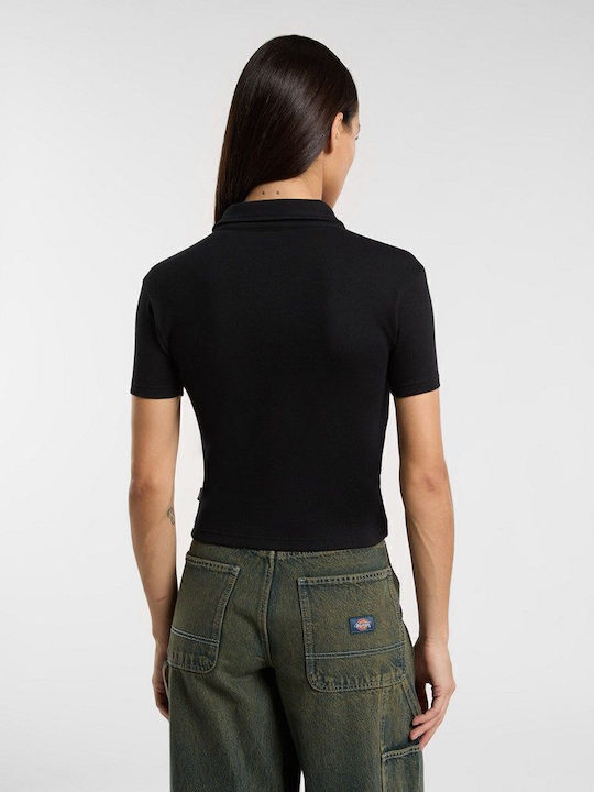 Dickies Dickies