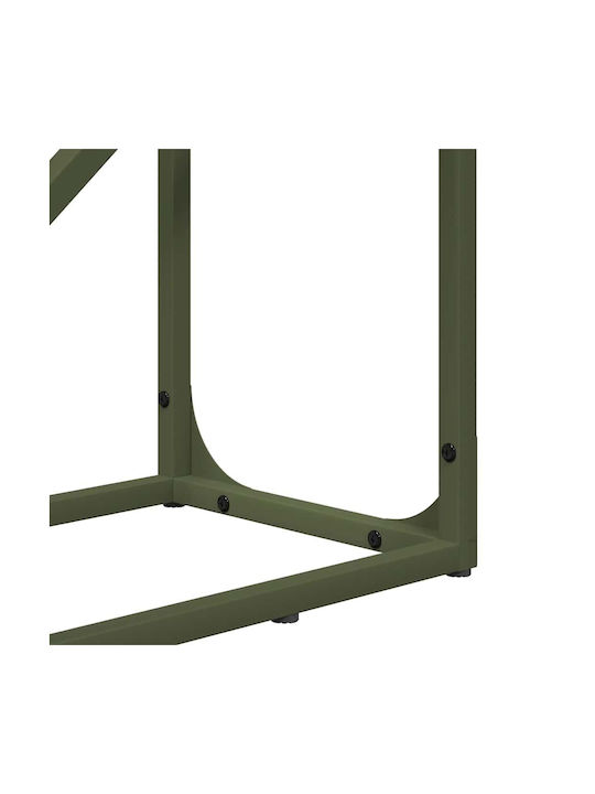 vidaXL Firewood Inox Shelf Wood Storage 40x25x100cm Green