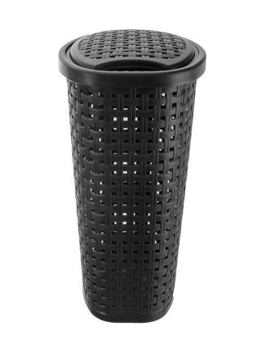 Orion Coș De Rufe Din Plastic 45lt Cu Capac 41x32x61cm Negru