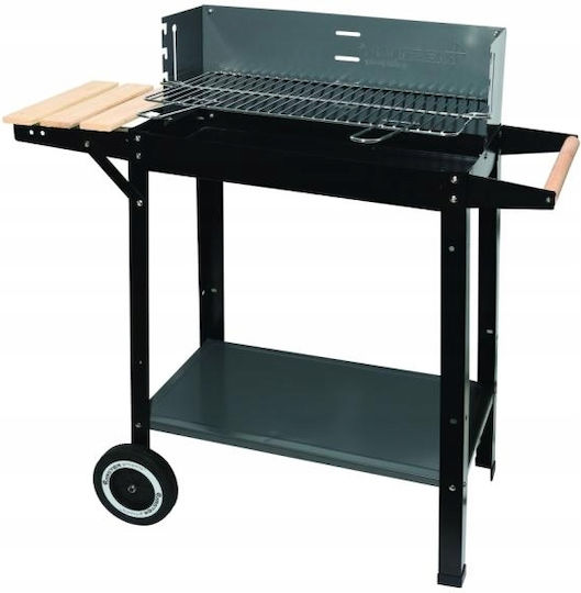 Master Grill & Party Ανοξείδωτη Φορητή Ψησταριά Κάρβουνου 53x27εκ.