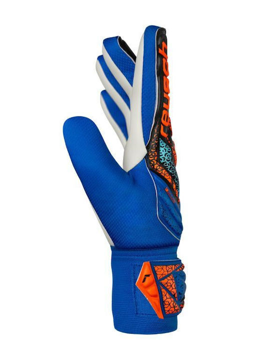 Reusch Attrakt Starter Solid Kids Goalkeeper Gloves Blue