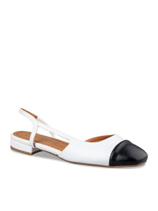Envie Shoes Envie Shoes