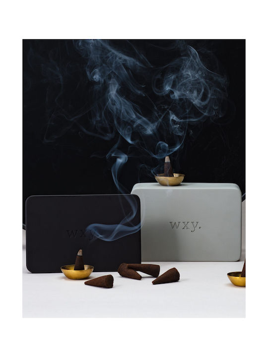 20 Conuri Aromatice de Tămâie Oudh Cutie Ciment Gri Închis Wxy