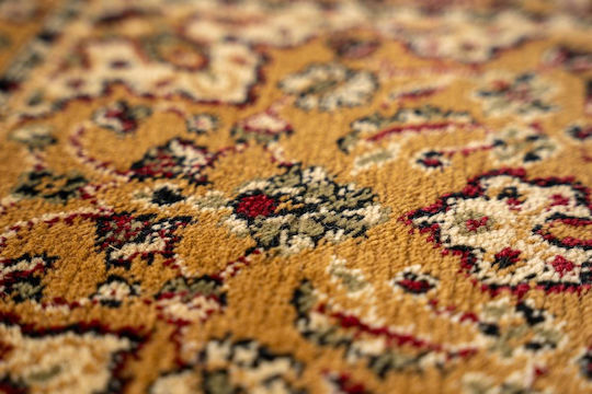 Sdim Eingangsmatte Teppich Klassisch Destiny Beige 50x80cm