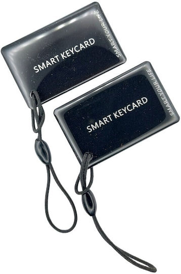 Electronic Lock with Wi-Fi Connectivity Silver