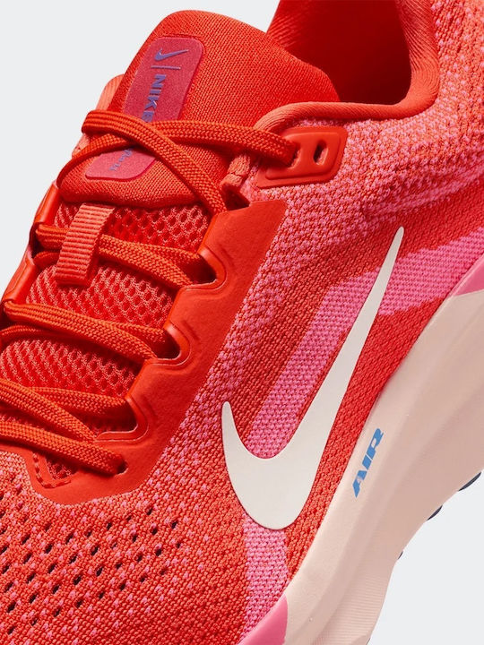 Winflo 11 Sport Shoes Running Orange