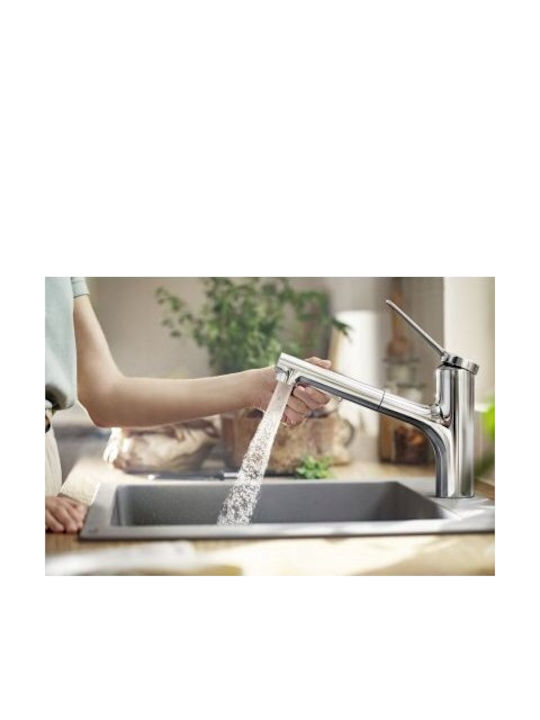 Hansgrohe Baterie de Bucătărie Bancă