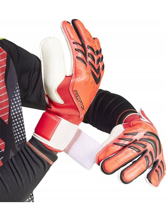 adidas Predator GL MTC Голмански ръкавици за Възрастни Червени