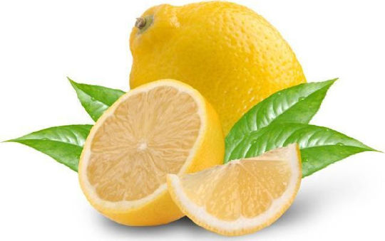 Teekanne Πράσινο Τσάι 1.75gr με Άρωμα Lemon