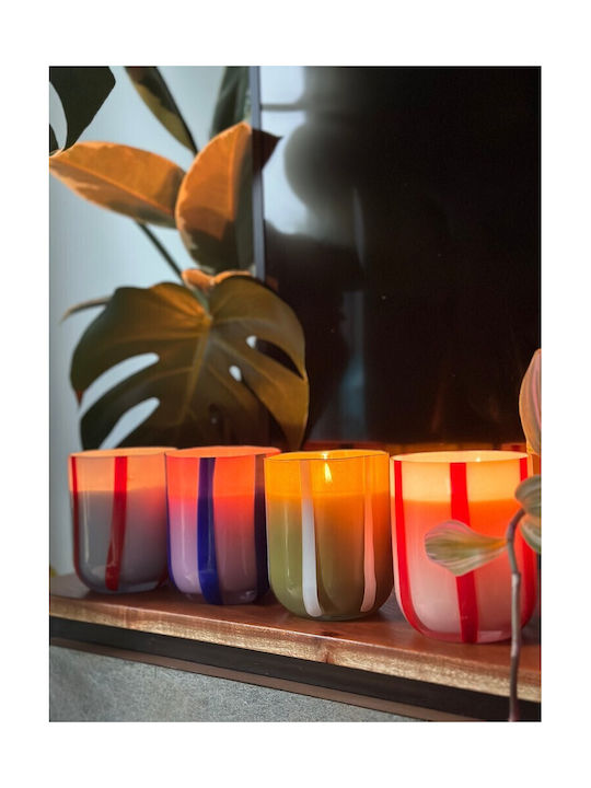 Maegen Aromatic Candle in Jar with Perfume Tomato Mint Leaf 280g