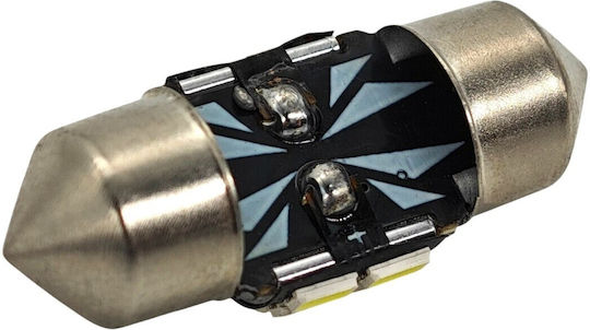 Lampen Auto C3W / C5W / C10W / C21W Canbus LED 5500K Kaltes Weiß 12V 1Stück