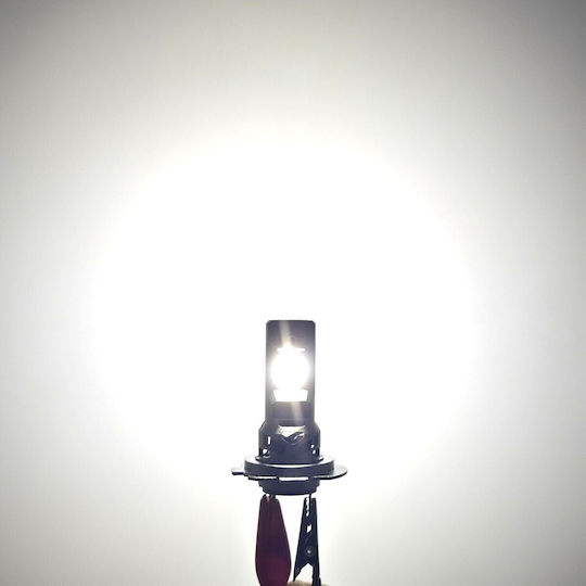 Lamps Car H7 / H18 Canbus LED 5500K Cold White 32V 2pcs