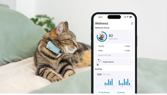 Tractive mini GPS Tracker Κολάρο Γάτας Πράσινο