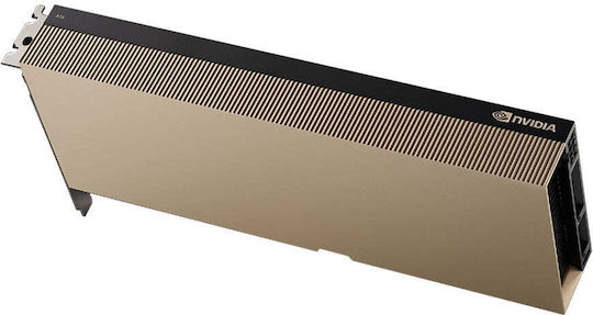 PNY (TCSA16M-PB)