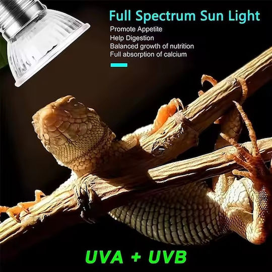 Λάμπα Ζέστης Led Uva+uvb 10 Φωτιστικά Ερπετών Χελώνας Χοντρό Σπείρωμα 3w